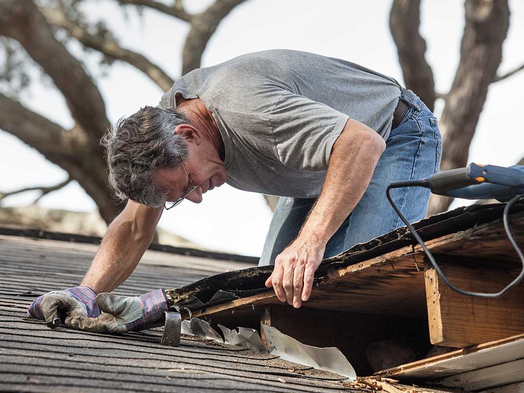 checking roofs for rot and damage